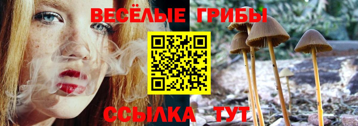 Галлюциногенные грибы Psilocybe  Вход с VPN  Псилоцибиновые грибы ЛСД  Костомукша 